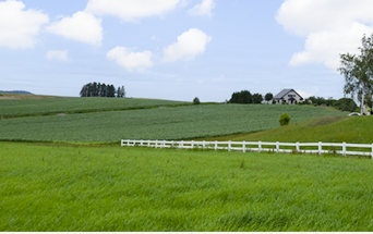 とかち帯広イメージ